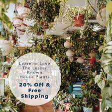 Specialty Live Plants Delivered Plant Pot Design House Plants Plants