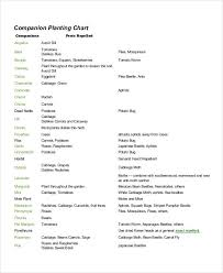 companion planting chart 9 free excel pdf documents