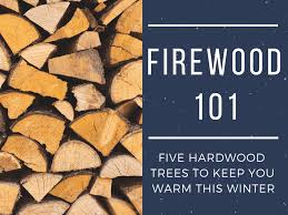 Cordwood covers holz hausen cover. Best Types Of Hardwood Trees To Use For Firewood Oak Cherry Sassafras Locust And Ash Dengarden