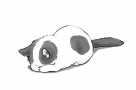 Cat Art Cute Adorable Black And White Anime Japan Japanese Kawaii Sleep B W Kitten Manga Pixiv Monochrome Original Cats Illustration Animal Drawings Cat Art