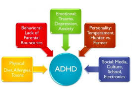 We did not find results for: Adhd In Children Signs Symptoms Teaching Strategies