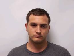 Goins Enters Plea To Fires In Bradley And McMinn