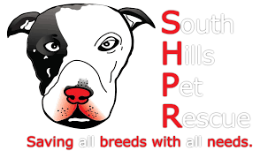 Find an adoption event near you—and find the pet who will steal your heart. South Hills Pet Rescue