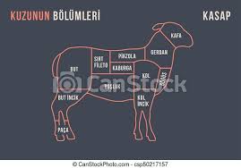Neck and shin are most suited to slow cooking. Meat Cuts Poster Butcher Diagram And Scheme Lamb Typographic With The Names Of Parts Of Meat In Turkish Graphic Design Canstock