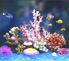 Danmu 1pc Saltwater Aquarium Design Of Polyresin Coral Decorations For Tan Fish In 2020 Aquarium Design Coral Decor Saltwater Aquarium