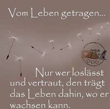 Spruch Pusteblume Bing Images Spruche Gedanken Zitate Trostende Worte