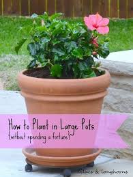 Check spelling or type a new query. How To Keep Your Hanging Plants Healthy This Summer Plants Large Flower Pots Garden Containers
