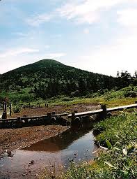 Image result for Hakkoda Walk