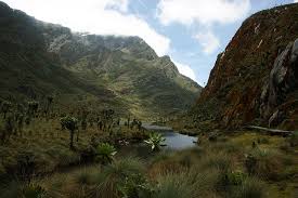 The third largest mountain in africa is unesco world heritage site mount stanley, located in the vast central african ruwenzori range which forms the border between the democratic republic of congo and uganda.the mountain consists of two twin summits and several lower peaks, and, like mount kilimanjaro. Rwenzori Mountains Global Warming Effects Epicure Culture Epicure Culture