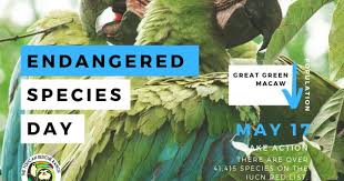 Endangered Species Day 2019 Endangered Plants Endangered Endangered Animals