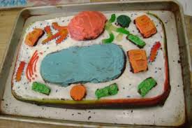Maybe you would like to learn more about one of these? Plant Cell Project Ideas Biological Science Picture Directory Pulpbits Net