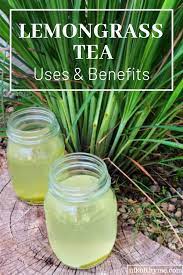 Lemongrass Tea Uses Benefits Lemon Grass Tea Benefits Lemongrass Tea Herbal Tea Garden