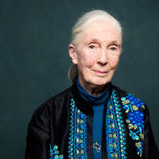 The hope online at abc.com. Primatologist Jane Goodall Tarzan Married The Wrong Jane Women The Guardian