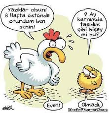 Картинки по запросу gulmeli sekiller