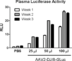 Image result for Poppy Red 1998 AAV