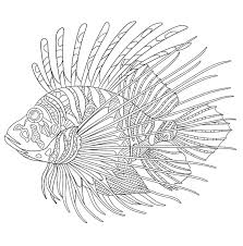 Pin By Ame Martin On Colorea Animales 2 Lion Coloring Pages Lion Fish Animal Coloring Pages