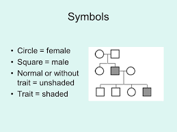 Example Of Trait Albinism Ppt Video Online Download