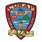 (VA) Luray FD 125th Anniversary Fire Truck Show