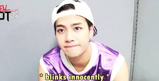 Please be sure to read the disclaimer below! Wang Puppy Gifs Get The Best Gif On Giphy