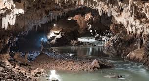 Die Grotte Von Postojna Und Das Gestut Lipica Visit Ljubljana
