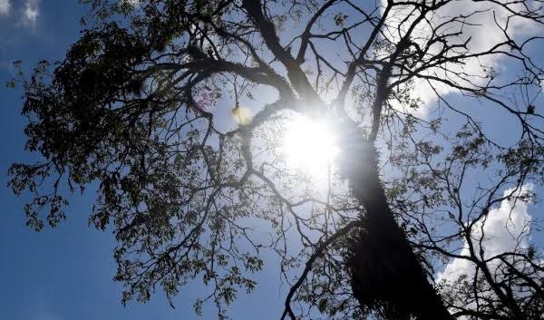 Semana começa com sol no Paraná, mas tempo muda nos próximos dias