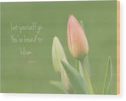 Elizabeth barrett browning, aurora leigh (1856), book ii. Pink Tulips With Quote Wood Print By Shirley Compton