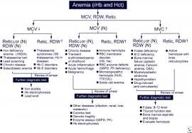 Pediatric Acute Anemia Workup Approach Considerations