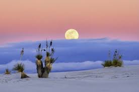 Moonlit dunes at White Sands National Park