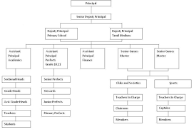 management structure royal college