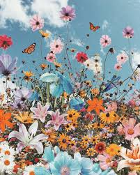 Fly Pt 2 A Map Of Dreams Butterfly Wallpaper Iphone Flower Iphone Wallpaper Cute Wallpaper Backgrounds