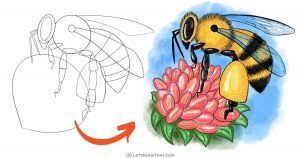 Here you can explore hq bumble bee drawing transparent illustrations, icons and clipart with filter setting like size, type, color. How To Draw A Bumblebee Very Simple And Very Cute Let S Draw That