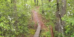 National Trail Day: Sensory Awareness Hike