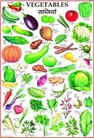 Vegetables Chart For Children Paper Print Children Posters