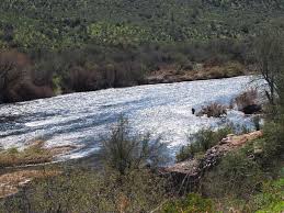 We did not find results for: Tonto National Forest An Arizona National Forest Located Near Fountain Hills Payson And Scottsdale