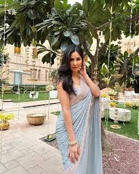 Buy Katrina Kaif in Sabyasaachi Georgette Saree. Soft Heavy Thread  Embroidery Partywear Sari, Wedding Bridal Bollywood Saree Online in India -  Etsy