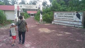 Balikpapan city tour packages : Bangunan Suaka Enggang Di Kabupaten Sintang Dipertanyakan Tribun Pontianak