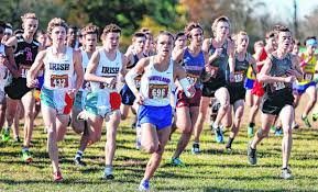 King of cross country: Mt. Vernon's Rush is county's top boys' runner