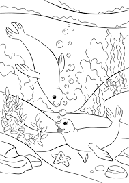 The seal coloring pages also available in pdf file that you can download for free. Free Seal Coloring Pages For Download Pdf Verbnow