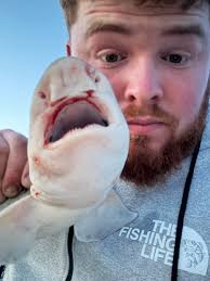 Hell of a fight, as you can see took too of us to handle this one 😂😂 Huss  off pebbles, Casey let me reel his rod in because I was