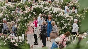 Flowers uk fast delivery in uk shop now flowers uk just to say. Rhs Chelsea Flower Show 2021 Special Event Visitlondon Com