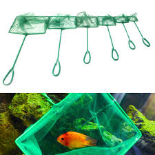 What size tank is best for your betta? 1 Pc Aquarium Fish Tank Square Shrimp Small Betta Tetra Net Buy At A Low Prices On Joom E Commerce Platform