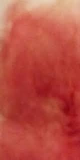 Image result for Lapointe the holy grail name