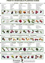 vegetable garden planting guide when to plant when to