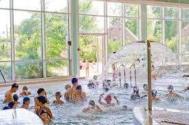 Piscine De Livry Gargan Di 2020