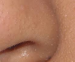 Image result for whitehead