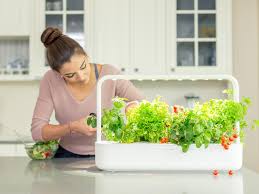 Smart Indoor Garden Systems: The Ultimate Buying Guide