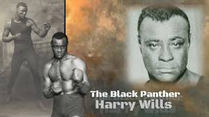 [Part 2] The Black Panther Harry Wills