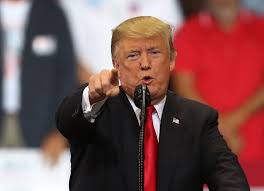 Image result for president trump campaigns for the midterm elections