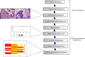 Facebook gives people the power to share and. An Optimised Protocol Harnessing Laser Capture Microdissection For Transcriptomic Analysis On Matched Primary And Metastatic Colorectal Tumours Researcher An App For Academics
