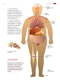 Este libro de texto que tienes en tus manos es una herramienta muy importante para que puedas desarrollar los aprendizajes de la mejor manera. Ciencias Naturales Quinto Grado 2017 2018 Ciclo Escolar Centro De Descargas